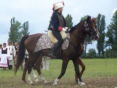 Lovasság a történelmi élképben / Reiterei im historischen lebenden Bild / Cavalry in the historical living picture - 16