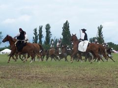 Lovasság a történelmi élképben / Reiterei im historischen lebenden Bild / Cavalry in the historical living picture - 30