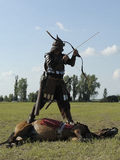 Kelemen Zsolt / Zsolt Kelemen