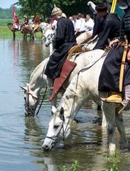 Itatás / Das Trinken von Pferden / The drinking of horses - 1