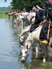 Itatás / Das Trinken von Pferden / The drinking of horses - 3