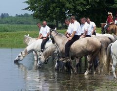 Itatás / Das Trinken von Pferden / The drinking of horses - 4