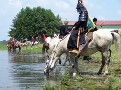 Itatás / Das Trinken von Pferden / The drinking of horses - 9