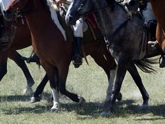 Lovasok háromszori szakrális országkerülése / Dreimal reiten um das Vaterland / Three times ride around the native country - 8
