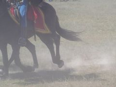 Lovasok háromszori szakrális országkerülése / Dreimal reiten um das Vaterland / Three times ride around the native country - 10