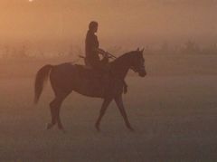 Lovas a porban / Reiter im Staub / Rider in the dust - 1