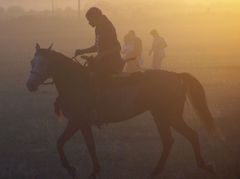 Lovas a porban / Reiter im Staub / Rider in the dust - 2