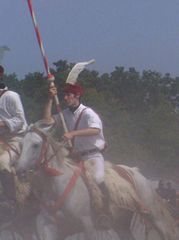 Lovasok háromszori szakrális országkerülése / Dreimal reiten um das Vaterland / Three times ride around the native country - 47