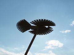 Napmadár / Sonnenvogel / Sunbird - 1