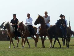 A lovasság felvonulása / Die Prozession der Kavallerie / The procession of the Cavalry - 34