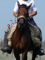 A lovasság felvonulása / Die Prozession der Kavallerie / The procession of the Cavalry - 41