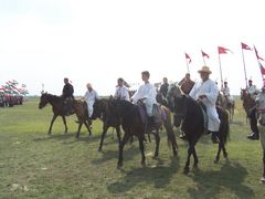 A lovasság felvonulása / Die Prozession der Kavallerie / The procession of the Cavalry - 49