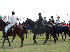 A lovasság felvonulása / Die Prozession der Kavallerie / The procession of the Cavalry - 50