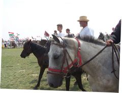 A lovasság felvonulása / Die Prozession der Kavallerie / The procession of the Cavalry - 51