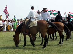 A lovasság felvonulása / Die Prozession der Kavallerie / The procession of the Cavalry - 52