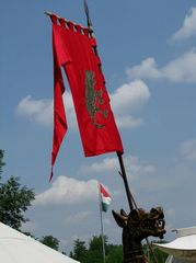 Tizedzászló