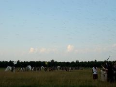 Nyílzápor (együtt-lövés/összlövés) - 5