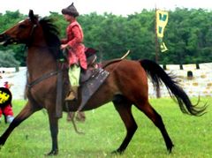 A magyar lovasság támadásban / Die ungarische Kavallerie im Angriff / The Hungarian cavalry in the attack - 4