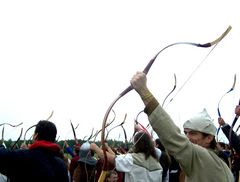 "Nyílzápor" (együttlövés) / "Pfeil-Hagel" (zusammen Schüsse) / "Arrow hail" (together shots) - 8