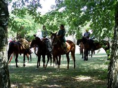 Lovasság pihenben / Ungarische Reiterei in der Rast / Hungarian cavalry in the rest - 4