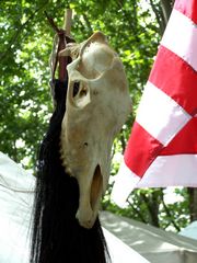 Totem a jurta eltt - 1