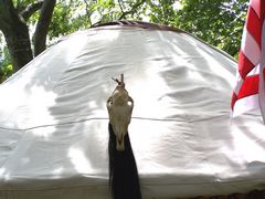 Totem a jurta eltt - 4