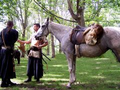 Magyar harcosok lóval