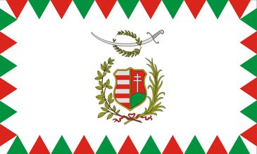 1848-as honvdzszl farkasfogazssal / Ungarische militrische Fahne von 1848 mit 'Wolfzhne' Muster / Hungarian military flag from 1848 with 'Wolf's teeth' pattern