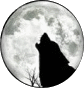 'Farkasok' nemzeti rock zenekar / 'W�lfe' nationalen Rock-Band / 'Wolves' national rock band