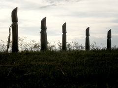 Kopjafák (jelfák) / Altungarische ’Grabsteine’ aus Holz / Old Hungarian ’grave stones’ from wood - 19