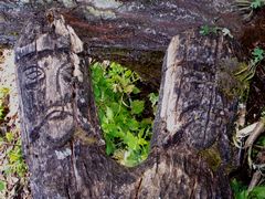 Régi emlékek a szent ligetben / Alte Funde im heiligen Hain / Ancient finds in the sacred grove - 8