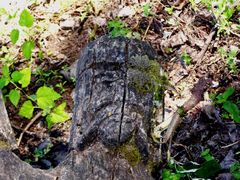 Régi emlékek a szent ligetben / Alte Funde im heiligen Hain / Ancient finds in the sacred grove - 9