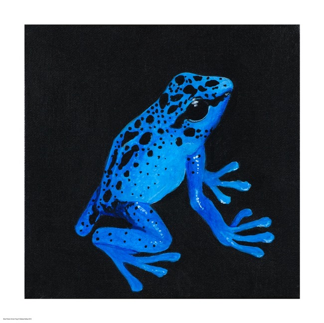 bluefrog