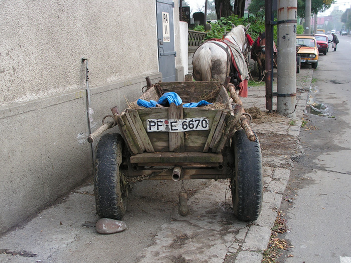 PICT0046