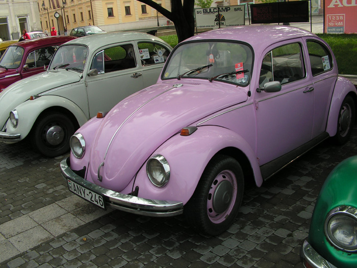 PICT0061