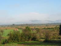t33333333333