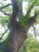 tPICT0054