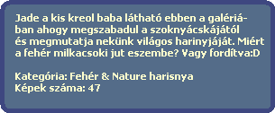 Jade a kis kreol baba lthat ebben a galri-
  ban ahogy megszabadul a szoknycskjtl
  s megmutatja neknk vilgos harinyjjt. Mirt
  a fehr milkacsoki jut eszembe? Vagy fordtva:D
  
  Kategria: Fehr & Nature harisnya
  Kpek szma: 47