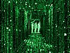 MATRIX~8.JPG