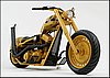 catbike1_hzoom.jpg