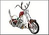 xmasbike1_hzoom.jpg