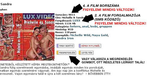 Let�lt�si �tmutat�