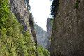 Bekas-szoros