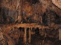 4Domicai-barlang