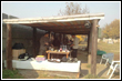 2011 otiszpaintball