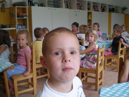 Ovis �letk�pek 2008-2010