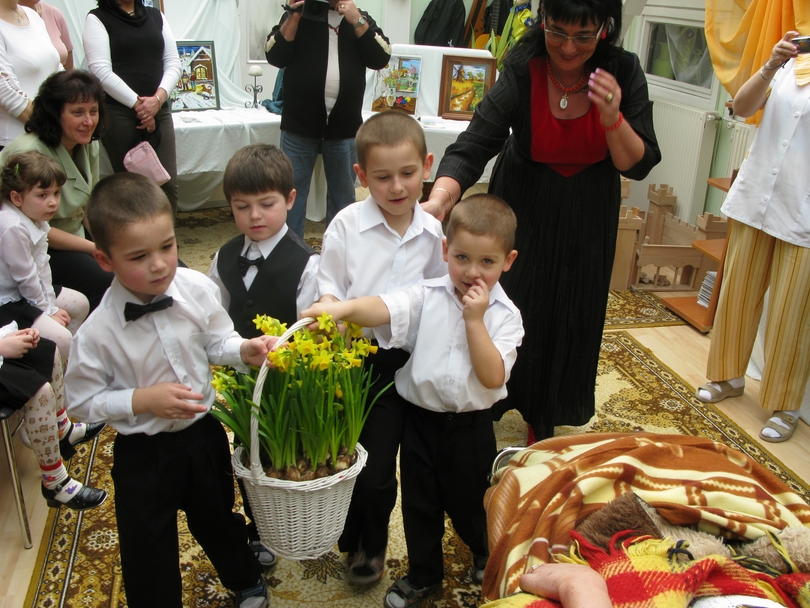 oviban 14.jpg