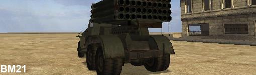 BM21