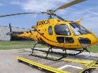 Bell 206.