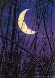 N�ma Hold (Dumb Moon)